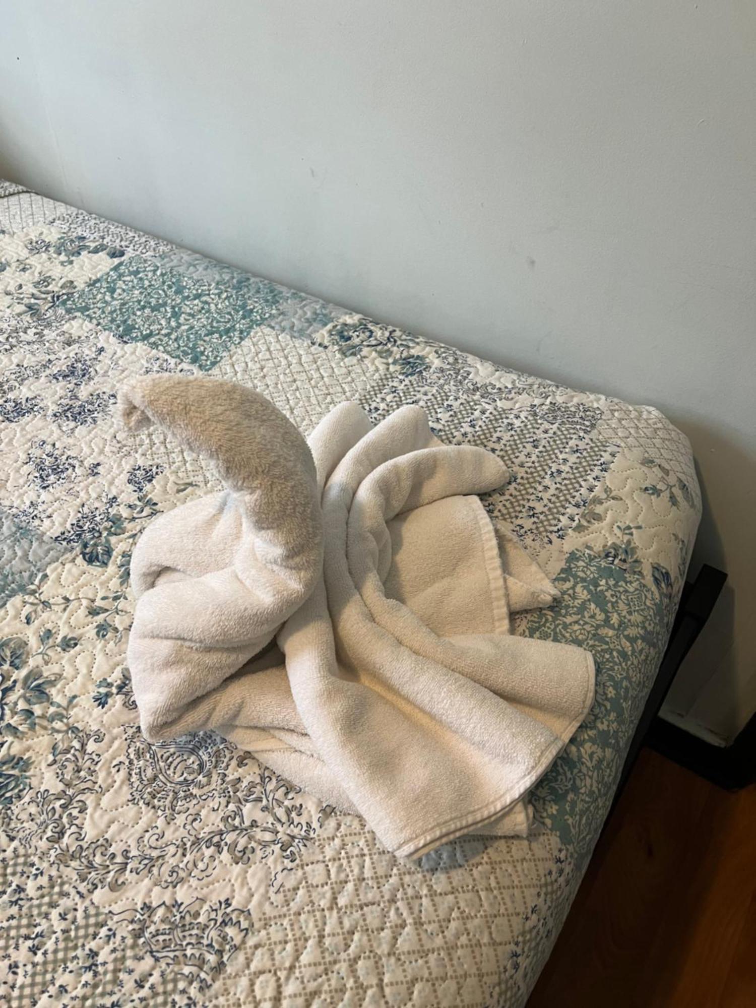 Hostal Victoria Punta Arenas Eksteriør billede